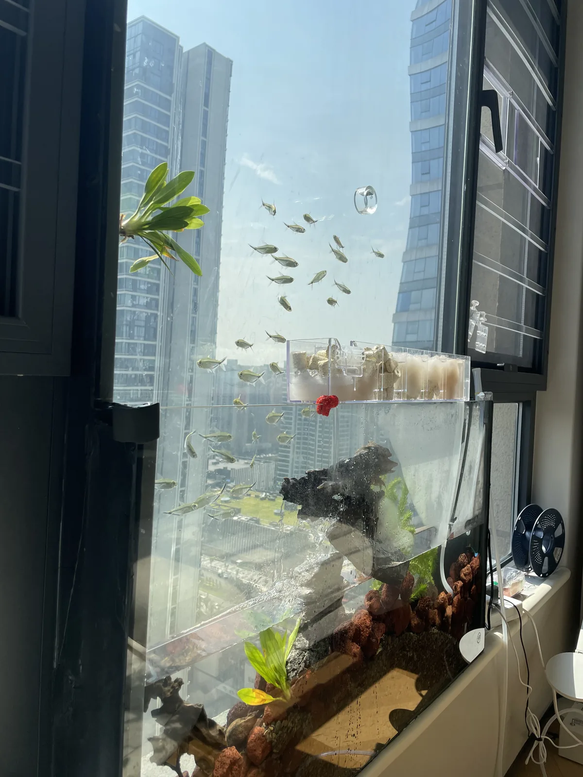 负压窗景鱼缸 — 5